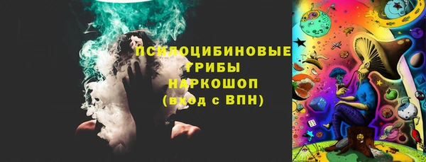 хмурый Нефтекумск