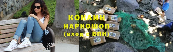гидра Надым