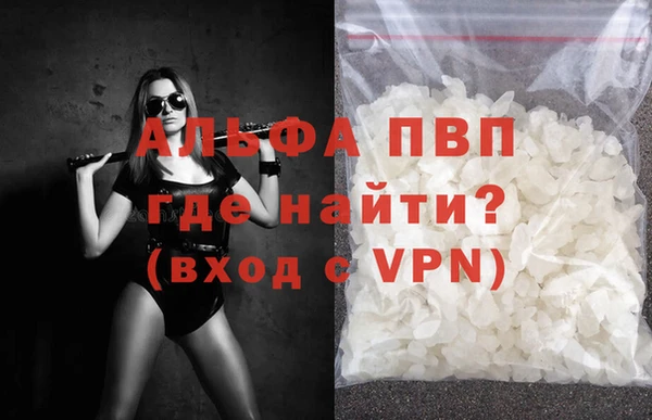 хмурый Нефтекумск