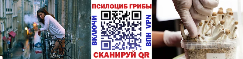 Псилоцибиновые грибы MAGIC MUSHROOMS  продажа наркотиков  Мамоново 